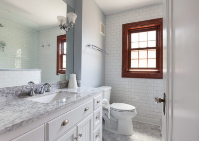 Traditional Hall Bathroom Remodel in Elmhurst, Illinois