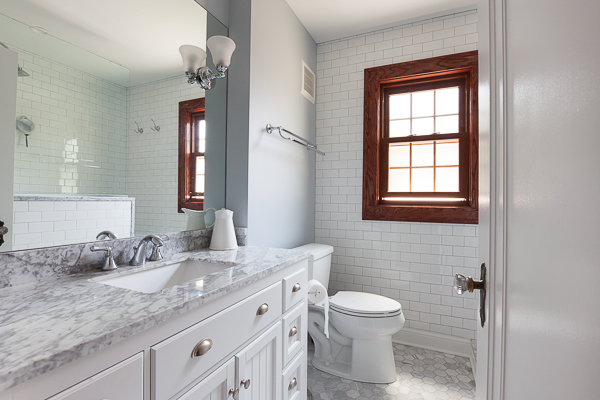 Traditional Hall Bathroom Remodel in Elmhurst, Illinois