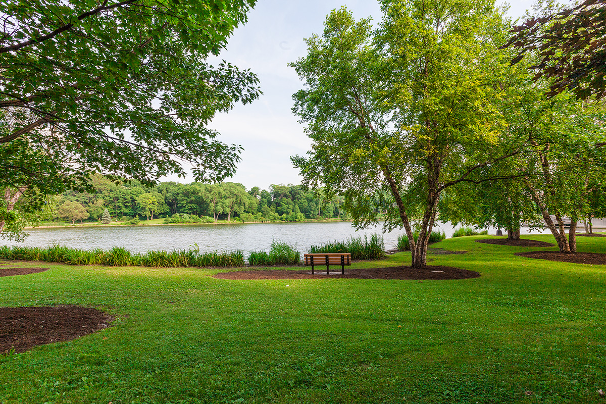 lake ellyn in glen ellyn illinois
