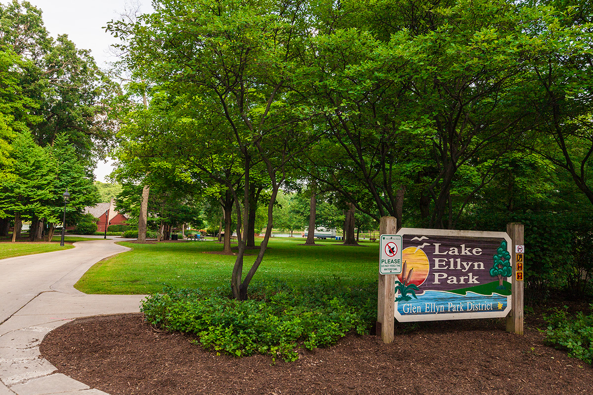lake ellyn in glen ellyn illinois