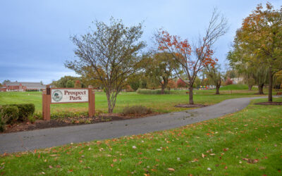 Best DuPage County towns for Chicago commuters